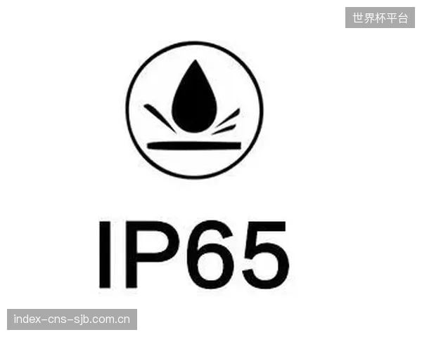 通过IP68耐压测试可将因密封失效导致的漏电事故概率降低至0.01%以下，这是场馆公众安全的绝对基线
